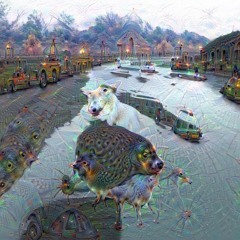 River Run