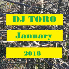 DJ TORO - January 2018