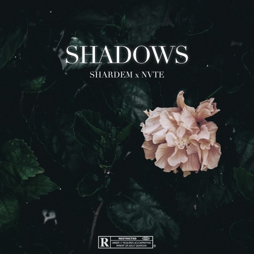 SHADOWS w/ NVTE