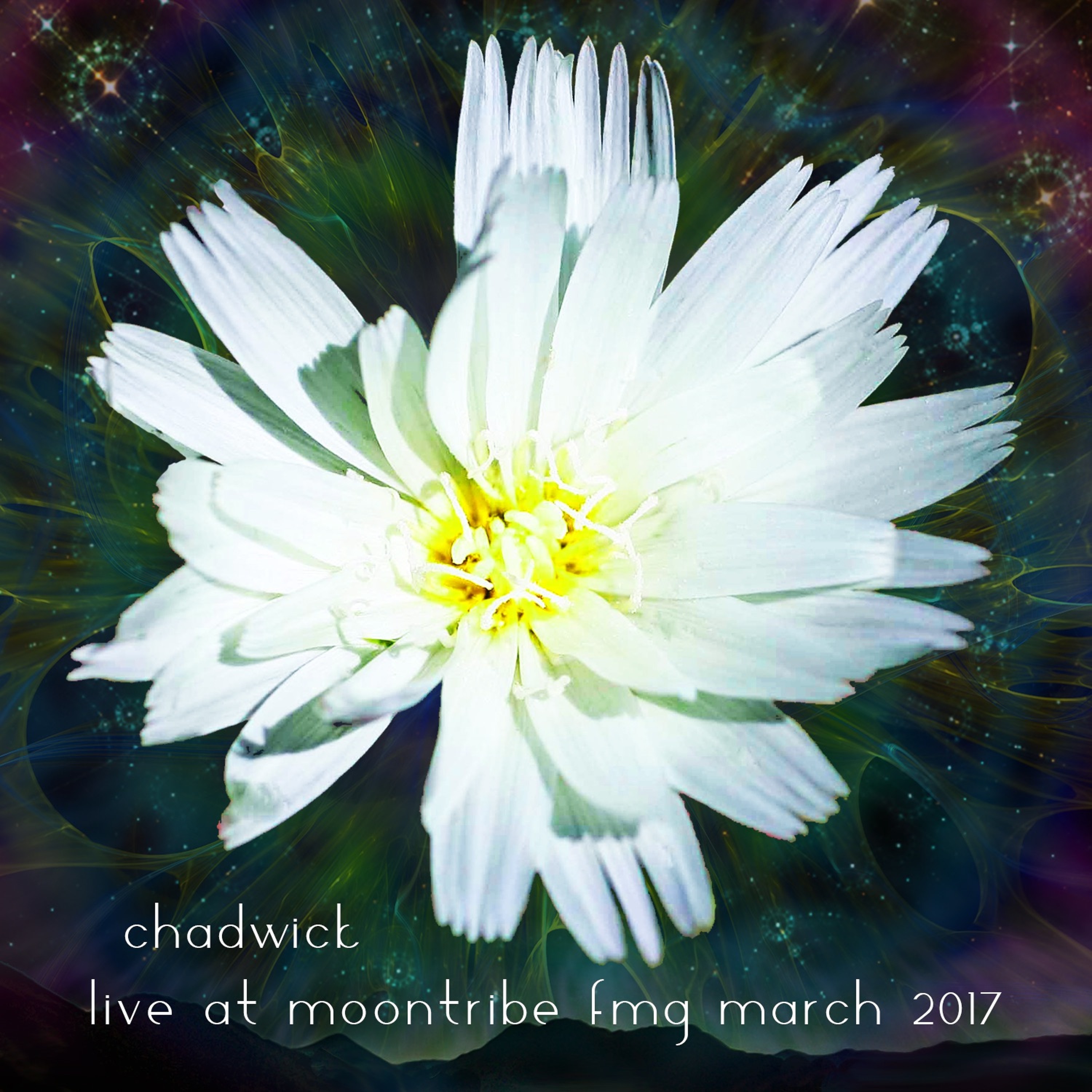Moontribe Collective