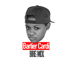 BARTIER CARDI (BRE-MIX)