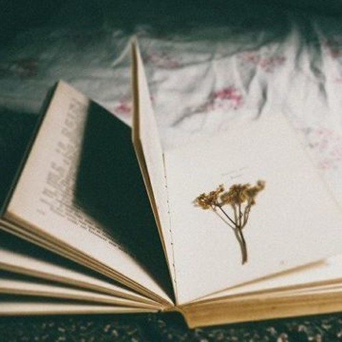 🌿رُوحٌ كالطّير رفّتْ |نعِيمُ الرُّوح