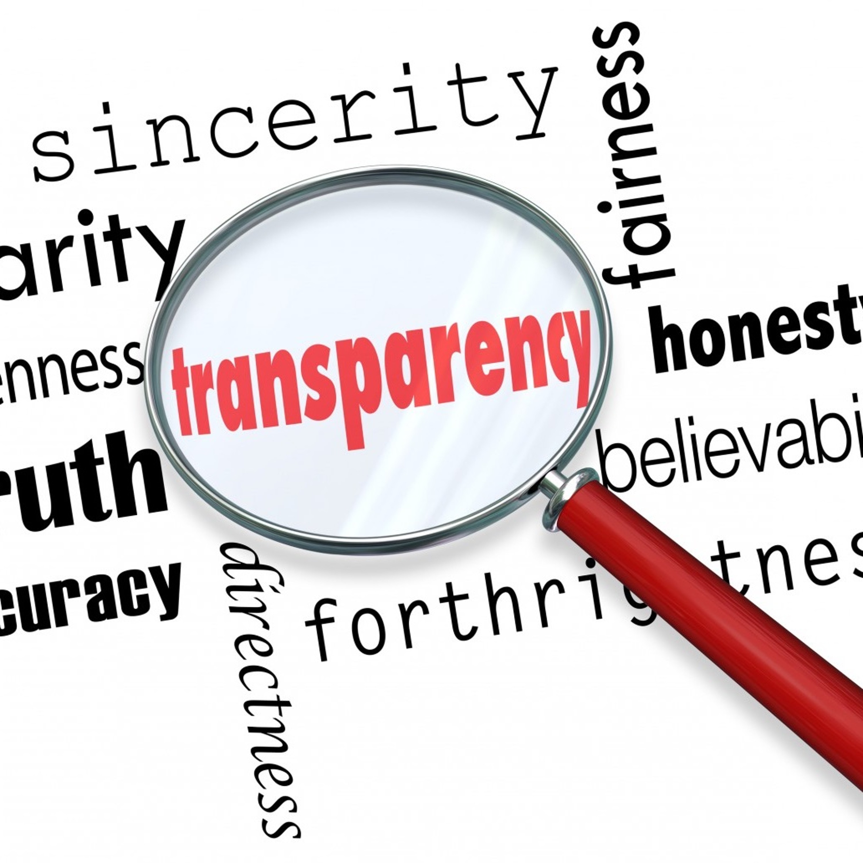 Transparency At The State Level episode artwork