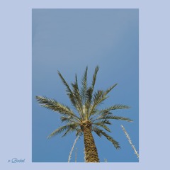 Hectik - E-boded Kinneret Weekender Poolside Mix | Part 1