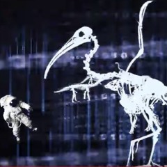 薛丁格的貓 Cat in the box