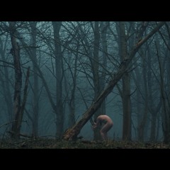 Soundtrack "Chapter One: Nocturnal Wanderer"