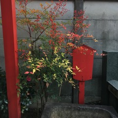 Aquiles Hadjis + 赤い日ル女 :『Rehearsals for Yokohama』