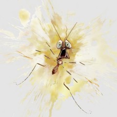R.I.P Me // look at me & r.i.p roach mashup