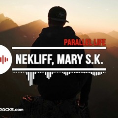 Parallel Life