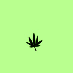 B0ssY RiDDim