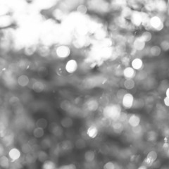 Orchestral Sampler