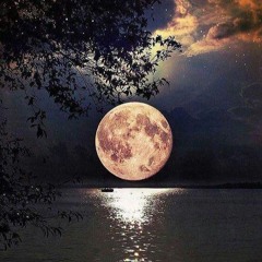 Renacer (tocopilla Ft ValeskyMc)