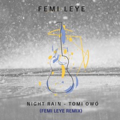 Night Rain (Femi Leye Remix)