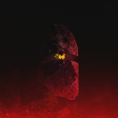 Xanti - Temporarily Unavailable