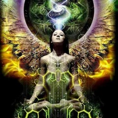 Trippie lounge and beats