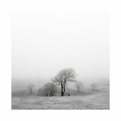 EasyBeats - Silent Mist Minimix