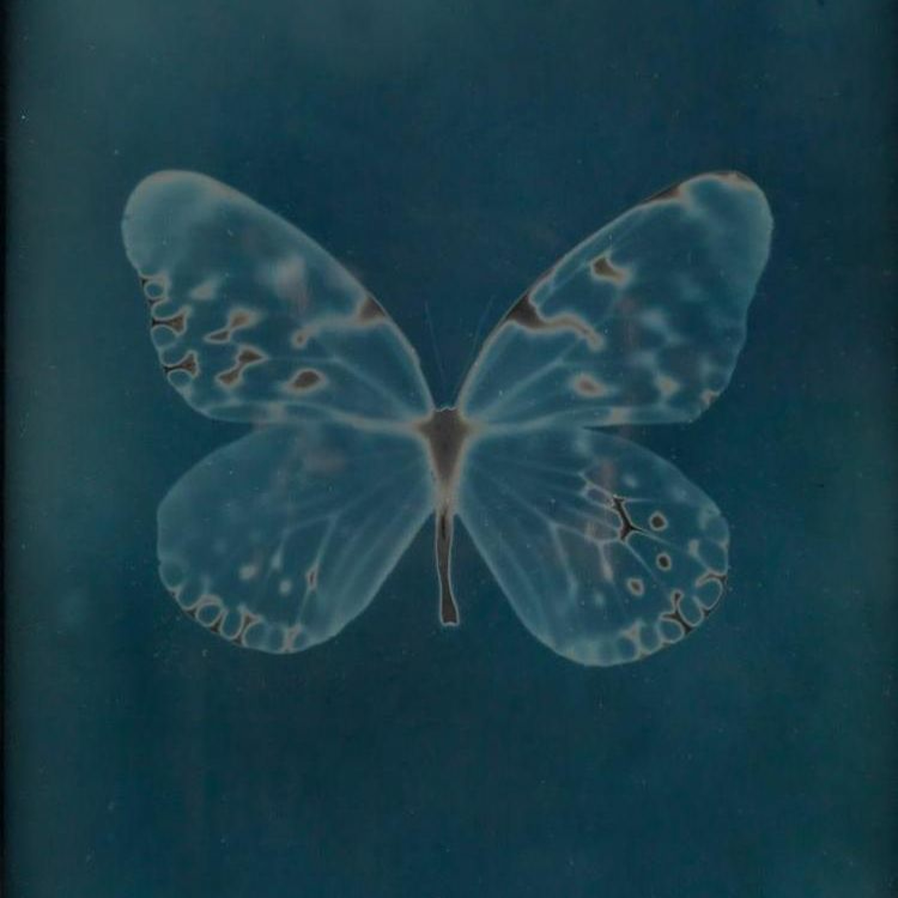 Friendly Potential Radio