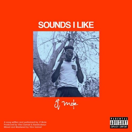 Sounds I Like (Prod. Vino Samari & BandooKeyz)