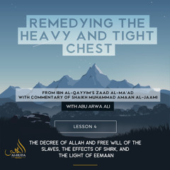 Lesson 4: The Decree of Allah and free will of the slaves, Effects of Shirk, and the Light of Eemaan