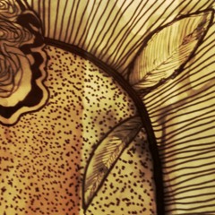 Life does not give second takes