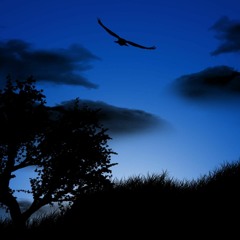 dance and trance 1995