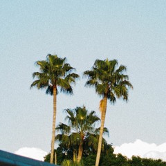 summer lovers
