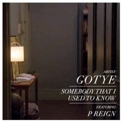 Somebody That I Used to Know (P Reign remix)