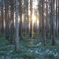 Käeolevast hetkest teadlikuks saamine