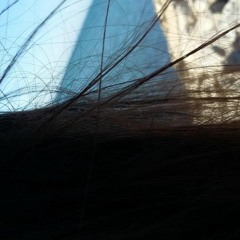 city
