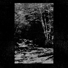 Portrait Decay "Memory"