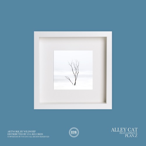 Plan.Z - Alley Cat(Feat.L1lprince)[90's R&B][Future R&B]