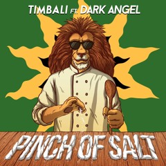 Timbali ft. Dark Angel - Pinch Of Salt