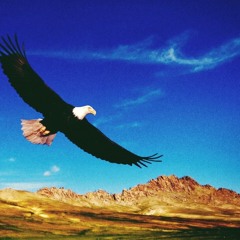 Eagle of the Wilderness (Demo)