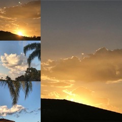 Interview With Ralph Martins