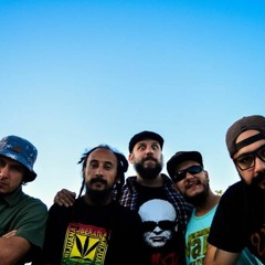 Namibians Steppers - Broocklin