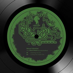 B2 - Natural Tribulation - Cutting Thru Steam Dub [Rootical45 Dub]