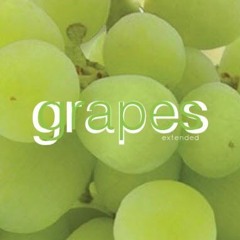 austin marc - grapes (extended)