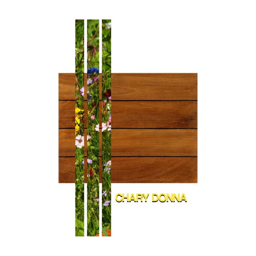 Chary Donna
