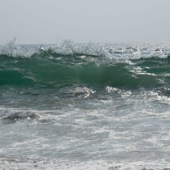 Environmental Performance Playlist