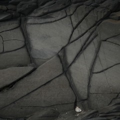 ict & Chromakey - Porcupine Shirt