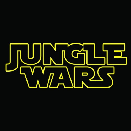 Some tracks which moved me during #junglewars2018 [No Order]