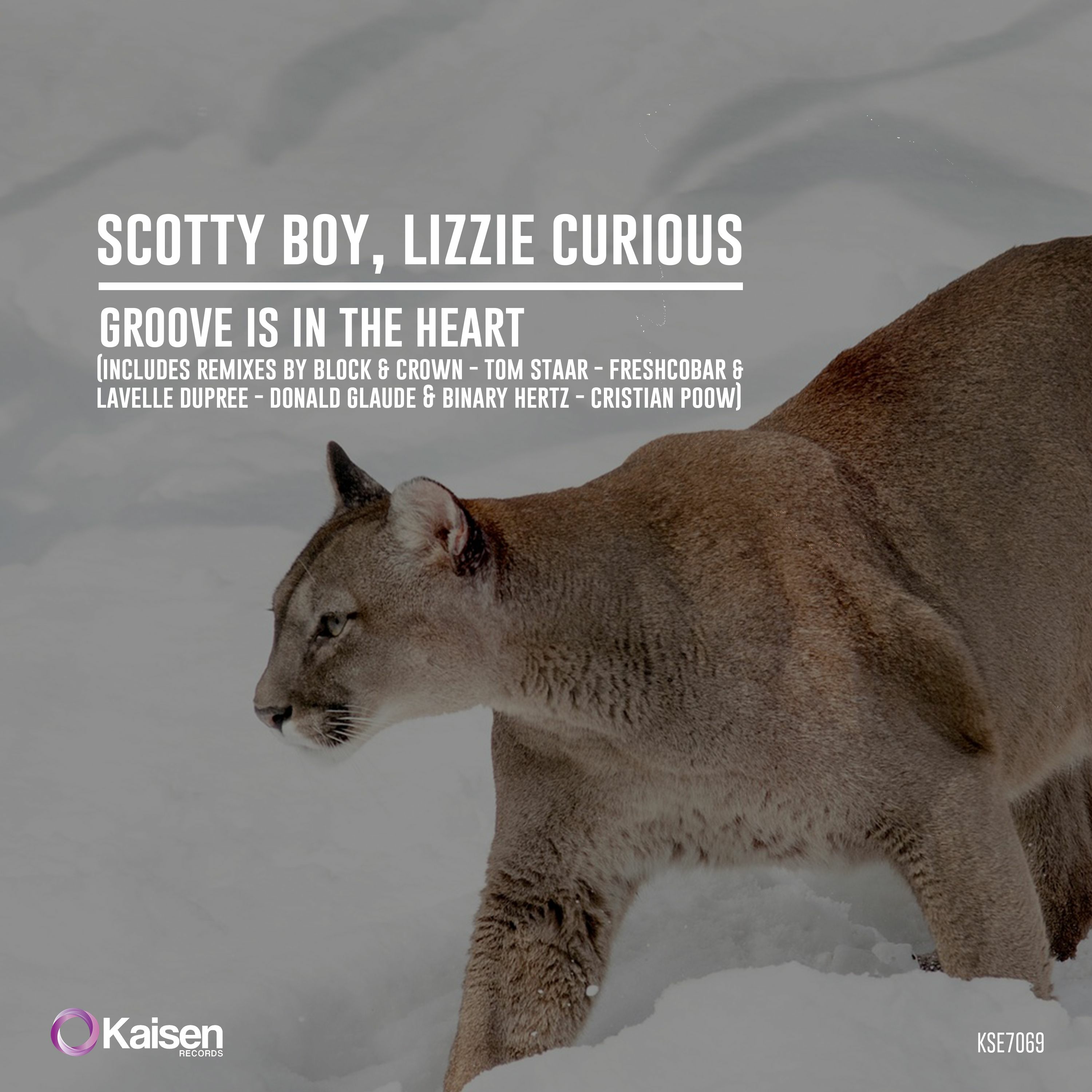 Scotty Boy