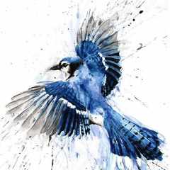 Zahut - Blue Bird (FREE DOWNLOAD)