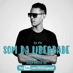 DJ PV - Som Da Liberdade (RICK DJ Remix)