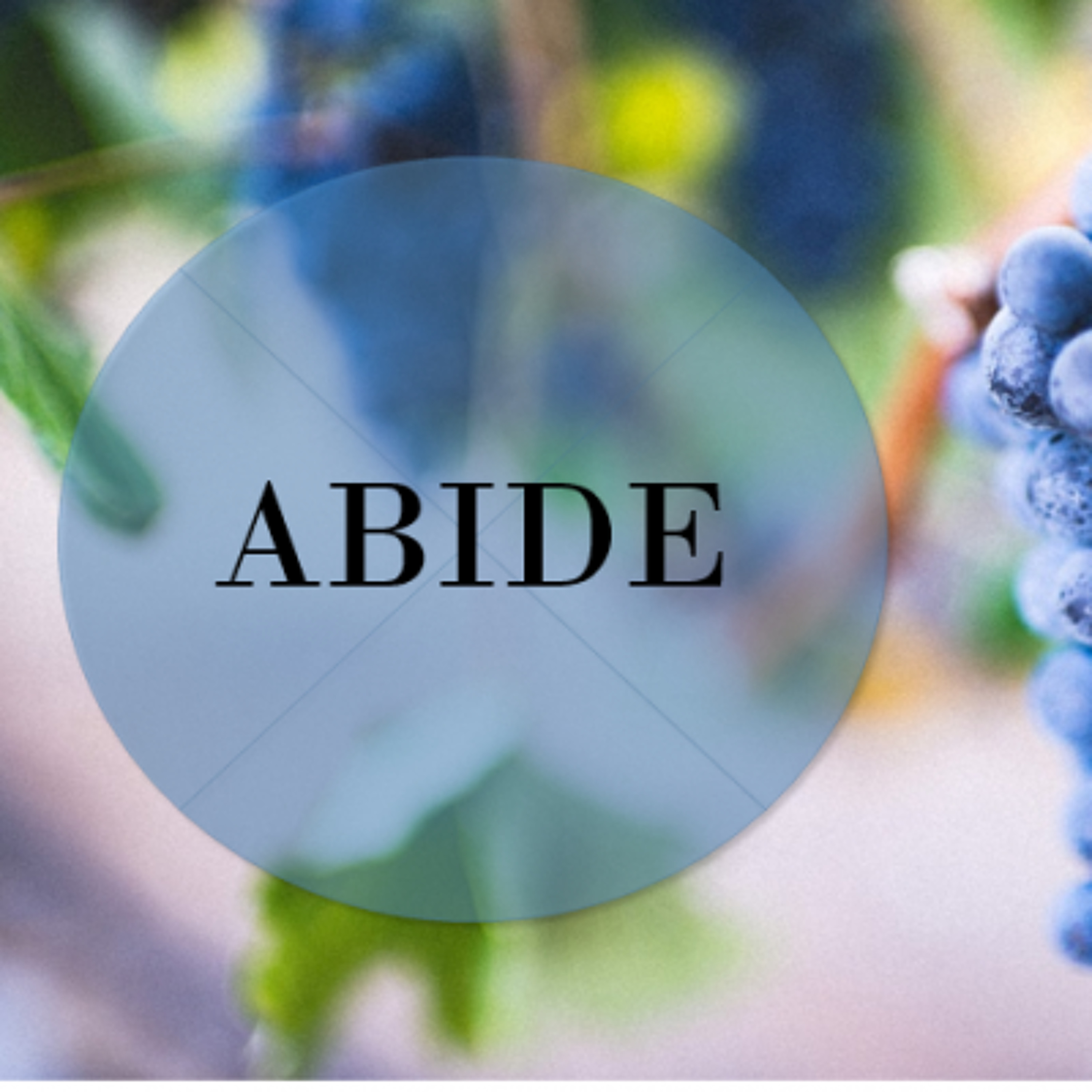 Abide: Self Care to the Glory of God - Jeff Strong - Sun Feb 4, 2018 episode artwork