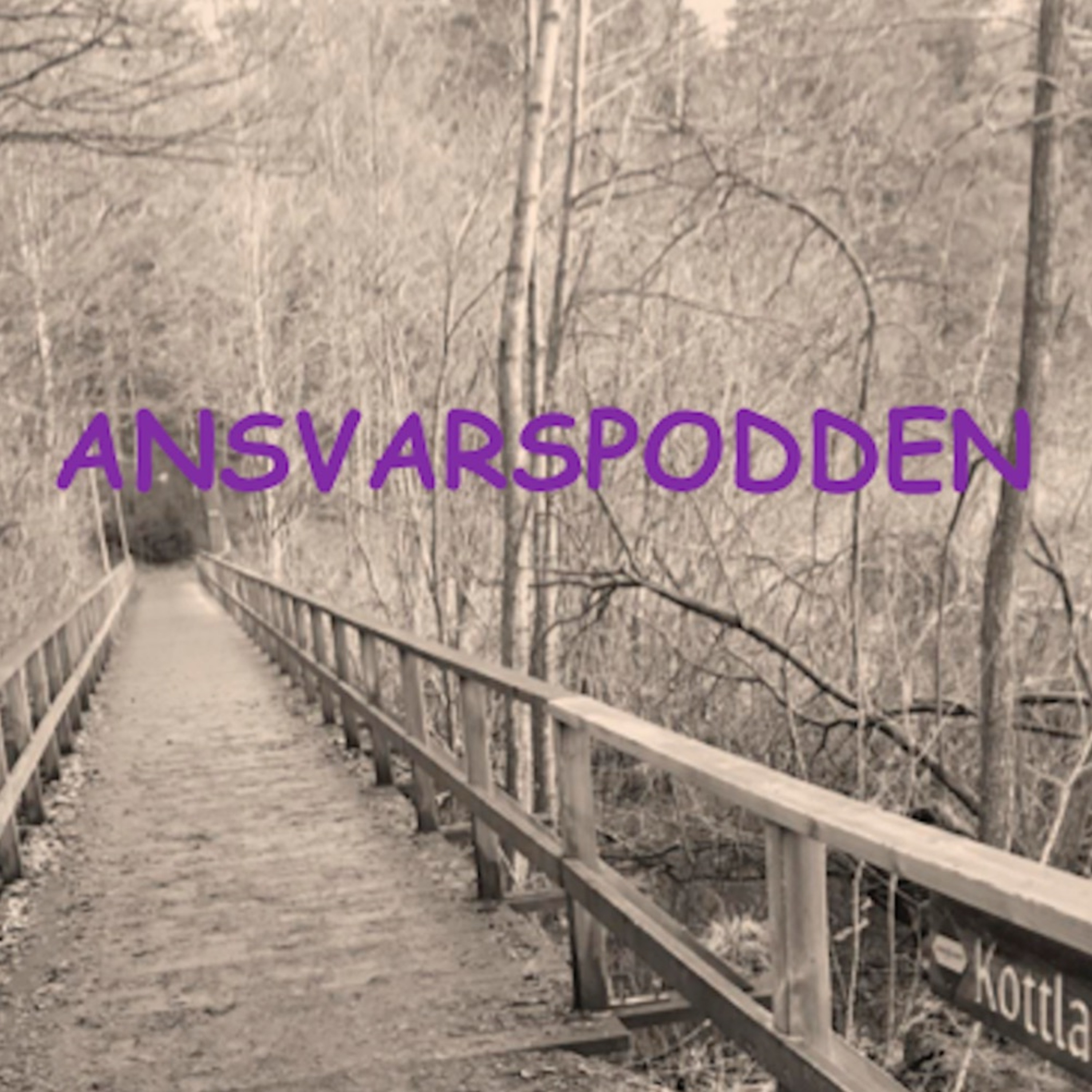 Ansvarspodden