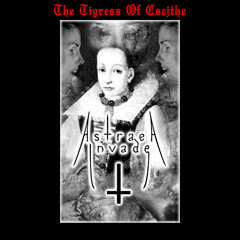 The Tigress Of Csejthe