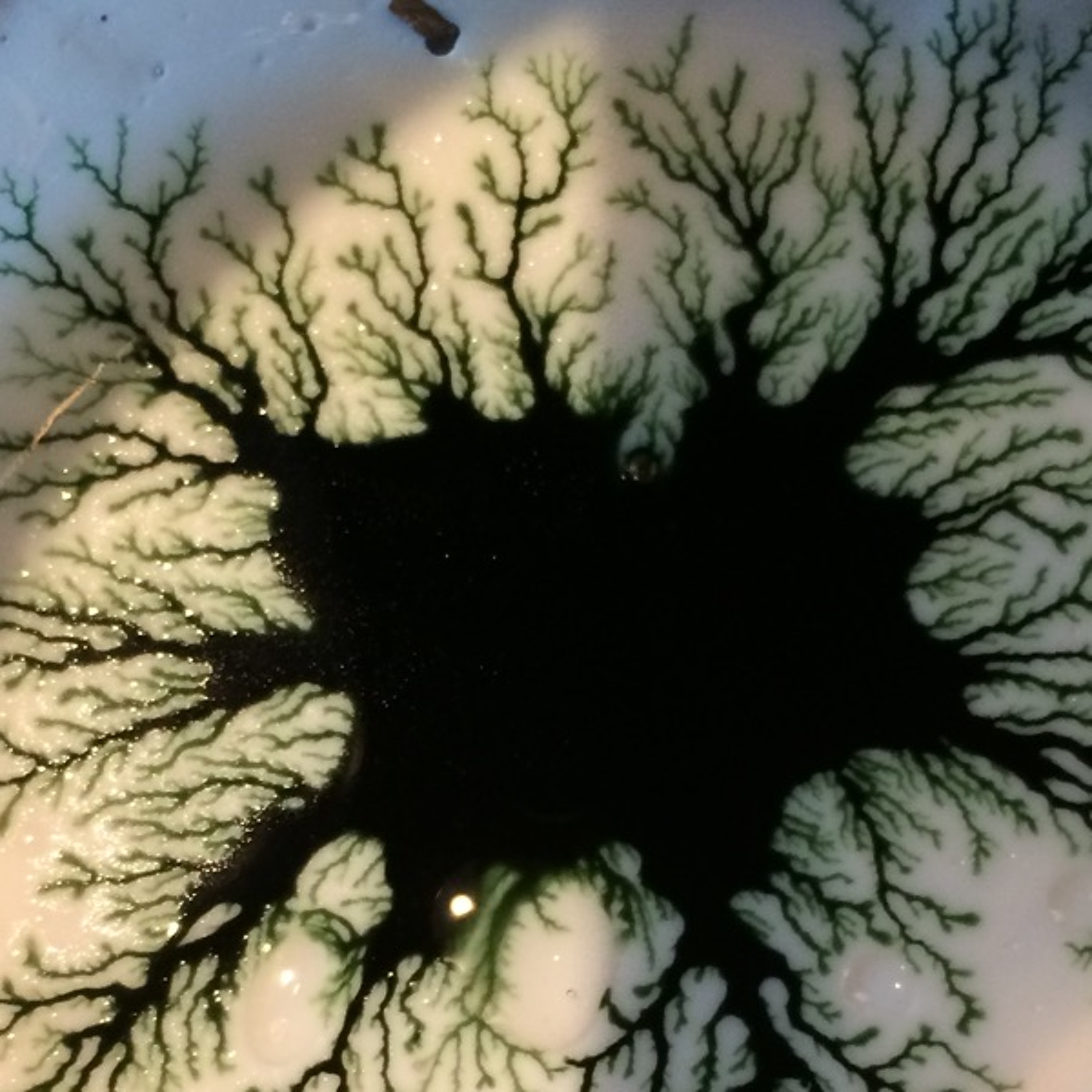dance of wu wei thumbnail