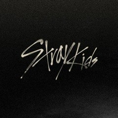 Stray Kids-Dance Battle Track (REMAKE)