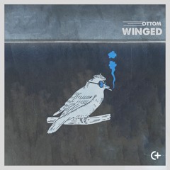 Ottom - Raining in Kyoto